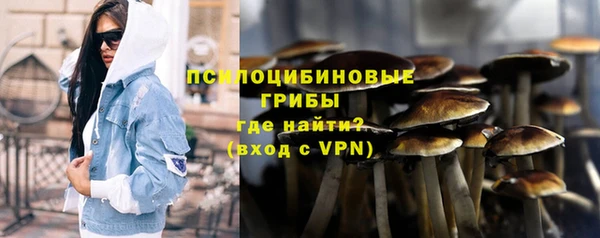 ГАЛЛЮЦИНОГЕННЫЕ ГРИБЫ Навашино