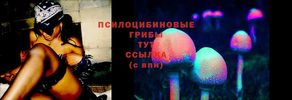 ГАЛЛЮЦИНОГЕННЫЕ ГРИБЫ Навашино