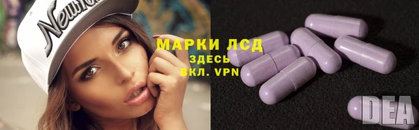 ГАЛЛЮЦИНОГЕННЫЕ ГРИБЫ Навашино