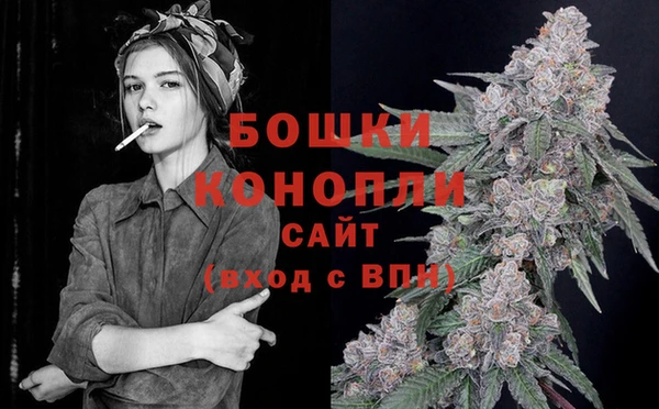 ГАЛЛЮЦИНОГЕННЫЕ ГРИБЫ Навашино