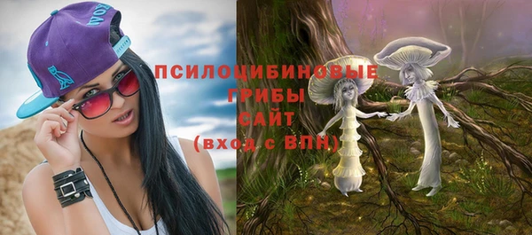 ГАЛЛЮЦИНОГЕННЫЕ ГРИБЫ Навашино
