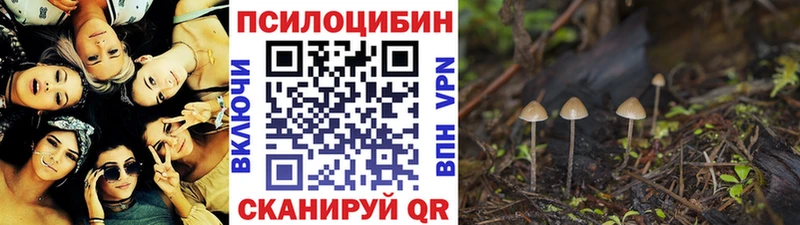 Галлюциногенные грибы MAGIC MUSHROOMS  Благовещенск 