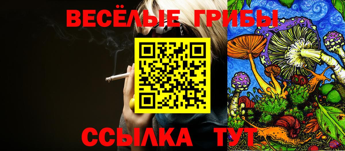 Псилоцибиновые грибы мицелий Благовещенск