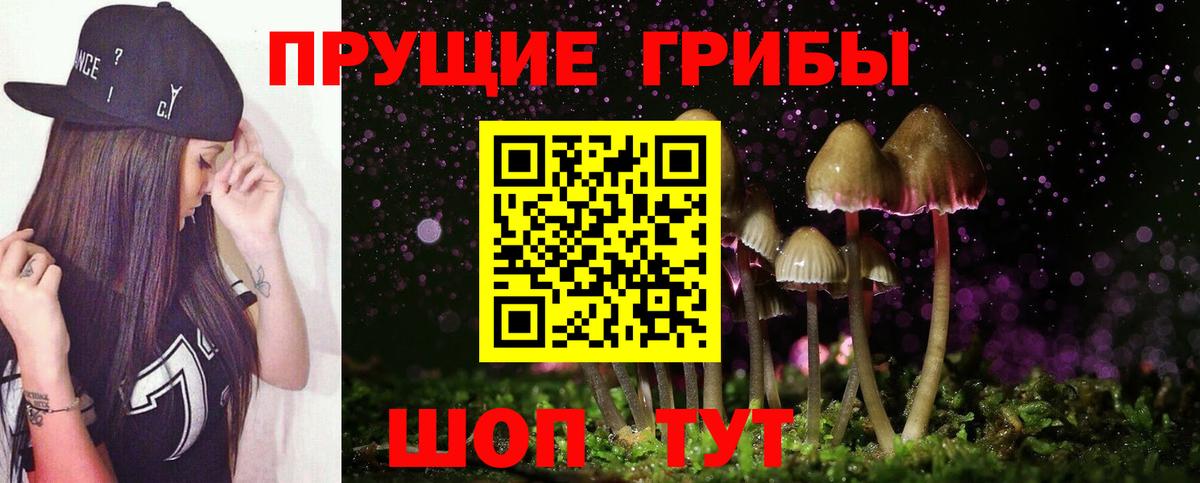 Псилоцибиновые грибы Cubensis  Вход с VPN  Благовещенск  Псилоцибиновые грибы мухоморы 